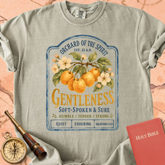 Gentleness — Fruit of the Spirit Premium T-shirt