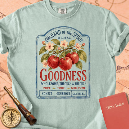 Goodness — Fruit of the Spirit Premium T-shirt