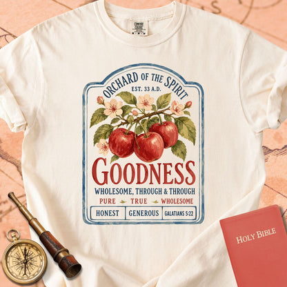 Goodness — Fruit of the Spirit Premium T-shirt