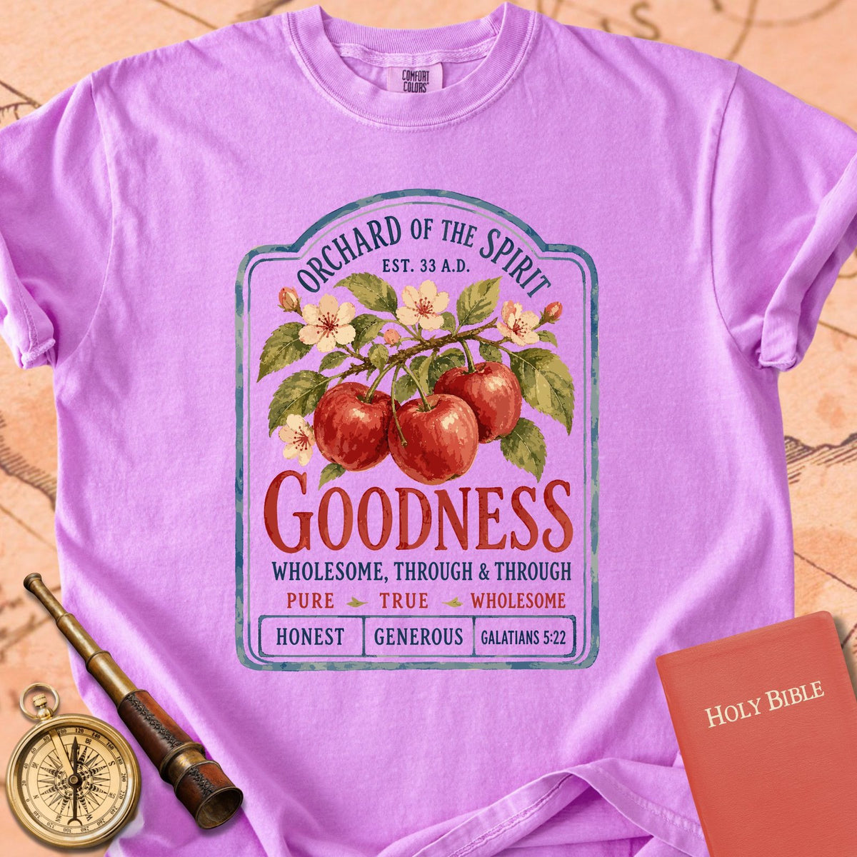 Goodness — Fruit of the Spirit Premium T-shirt