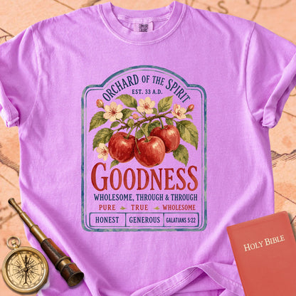 Goodness — Fruit of the Spirit Premium T-shirt
