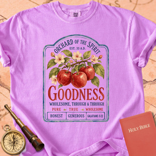 Goodness — Fruit of the Spirit Premium T-shirt