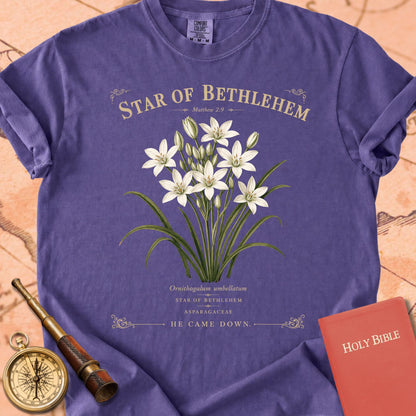 Star of Bethlehem — "He Came Down" Premium T-shirt