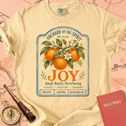 Joy — Fruit of the Spirit Premium T-shirt