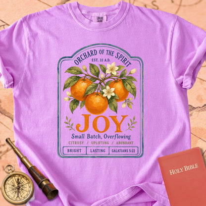 Joy — Fruit of the Spirit Premium T-shirt