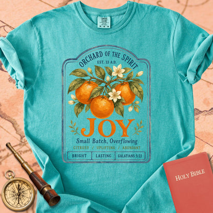 Joy — Fruit of the Spirit Premium T-shirt