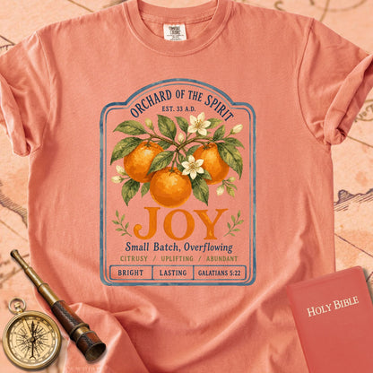 Joy — Fruit of the Spirit Premium T-shirt