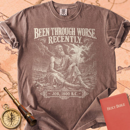 Job Been Through Worse Recently Premium T-shirt