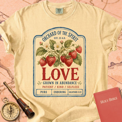 Love — Fruit of the Spirit Premium T-shirt