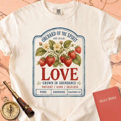 Love — Fruit of the Spirit Premium T-shirt