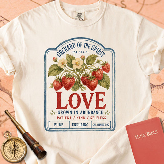 Love — Fruit of the Spirit Premium T-shirt