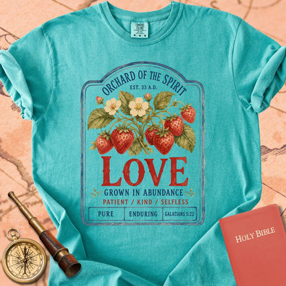 Love — Fruit of the Spirit Premium T-shirt