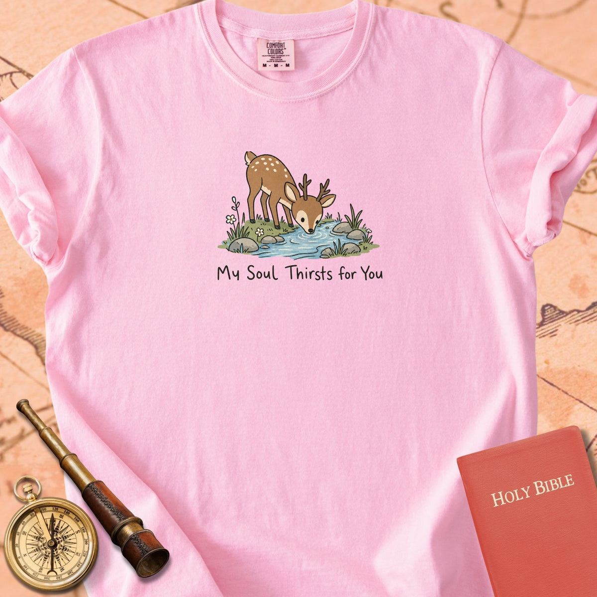 My Soul Thirsts for You Premium T-shirt