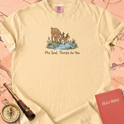 My Soul Thirsts for You Premium T-shirt