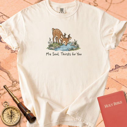 My Soul Thirsts for You Premium T-shirt