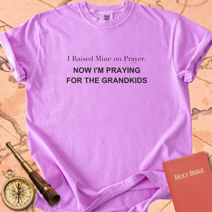 I Raised Mine on Prayer. Now I'm Praying for the Grandkids. Premium T-shirt