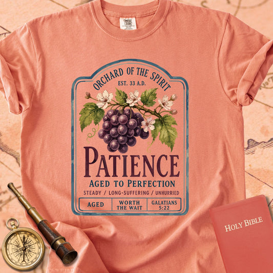 Patience — Fruit of the Spirit Premium T-shirt