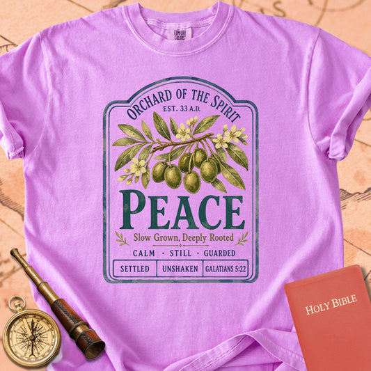 Peace — Fruit of the Spirit Premium T-shirt