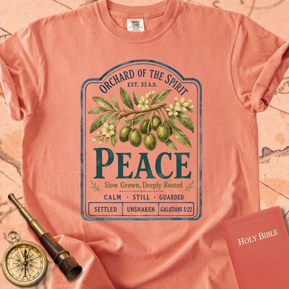Peace — Fruit of the Spirit Premium T-shirt