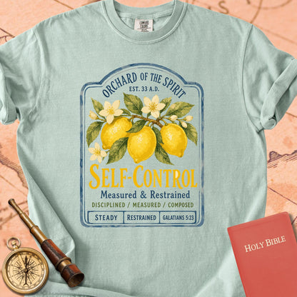 Self-Control — Fruit of the Spirit Premium T-shirt