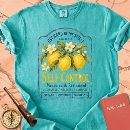 Self-Control — Fruit of the Spirit Premium T-shirt