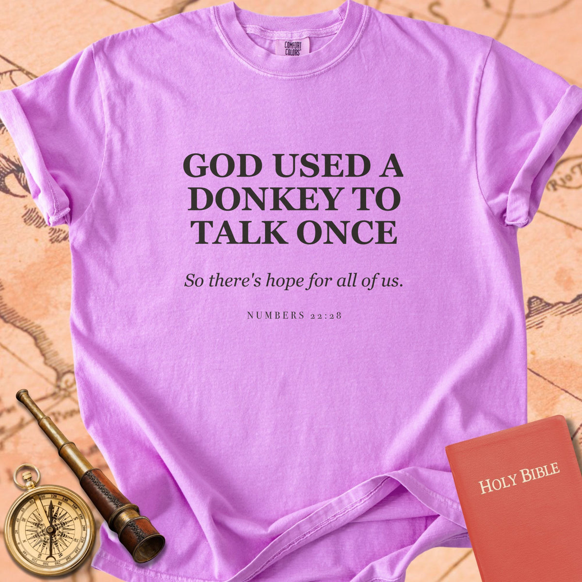 God Used a Donkey to Talk Once — So There's Hope for All of Us — Orchid Comfort Colors