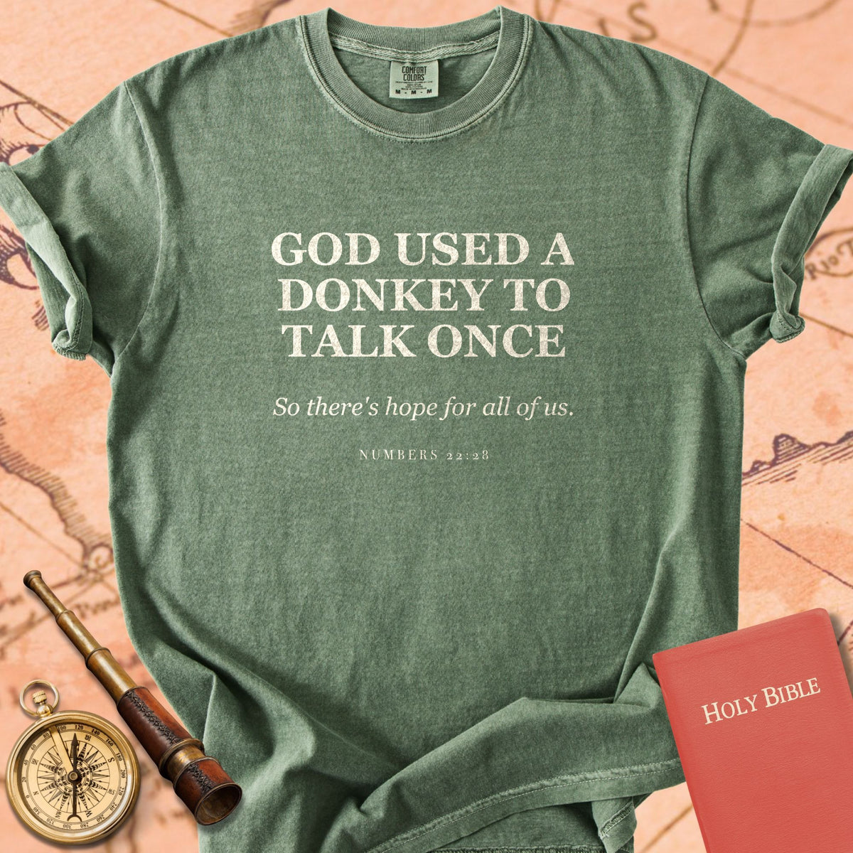 God Used a Donkey to Talk Once — So There's Hope for All of Us — Moss Comfort Colors