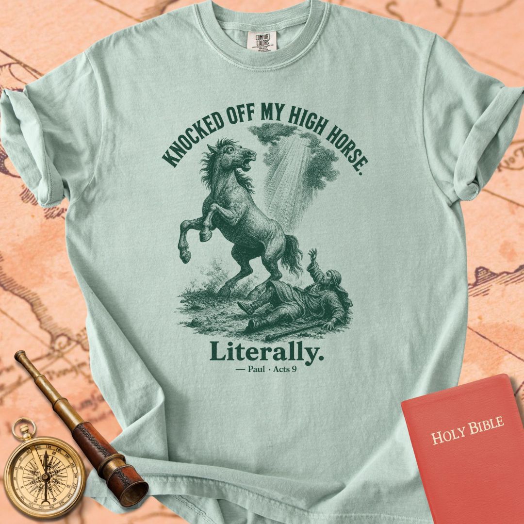 Knocked Off My High Horse (Literally) Premium T-shirt
