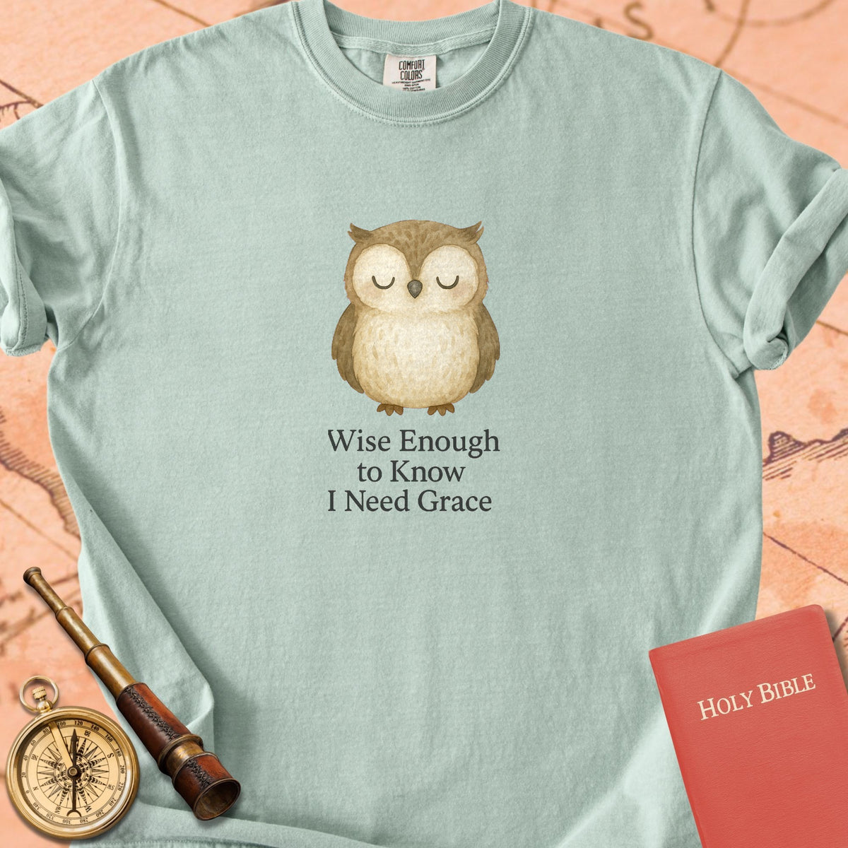 Wise Enough to Know I Need Grace — Cute Owl Premium T-shirt — Bay Comfort Colors