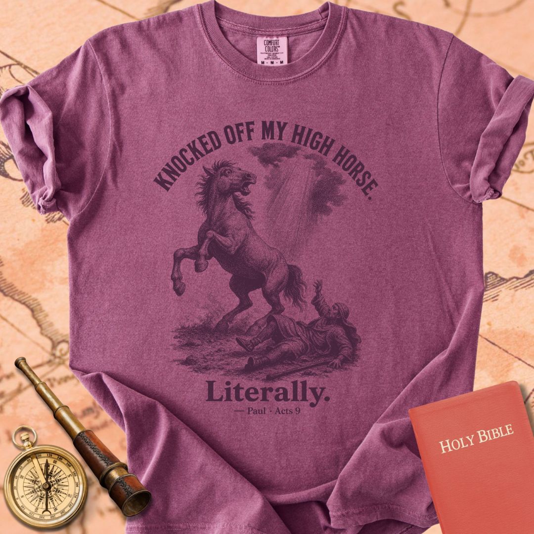 Knocked Off My High Horse (Literally) Premium T-shirt