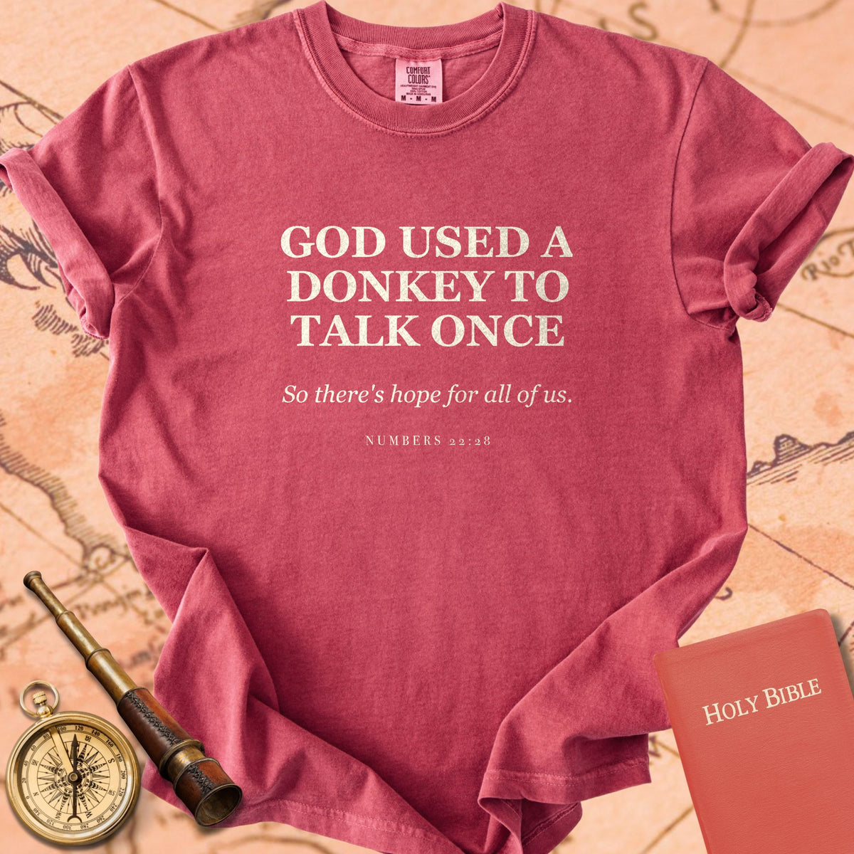 God Used a Donkey to Talk Once — So There's Hope for All of Us — Crimson Comfort Colors