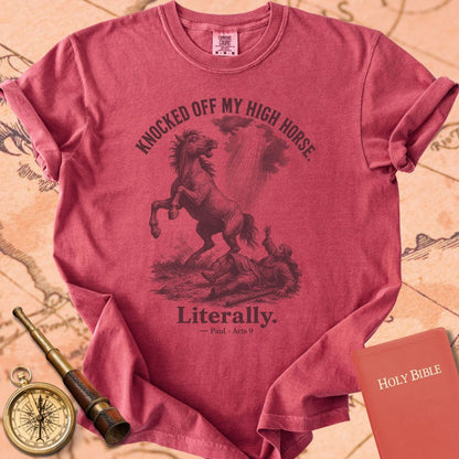 Knocked Off My High Horse (Literally) Premium T-shirt