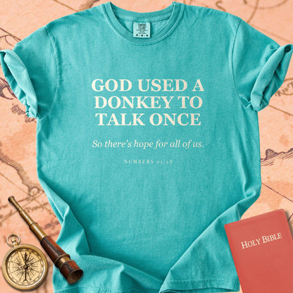 God Used a Donkey to Talk Once — So There's Hope for All of Us — Seafoam Comfort Colors