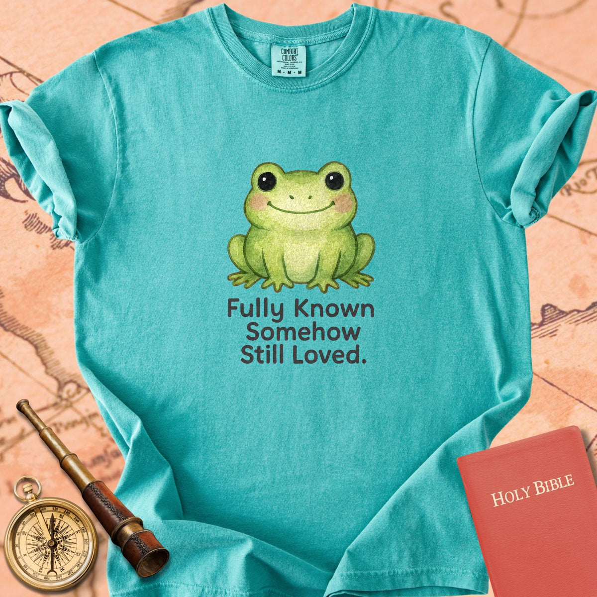 Fully Known, Somehow Still Loved — Cute Frog Premium T-shirt — Seafoam Comfort Colors