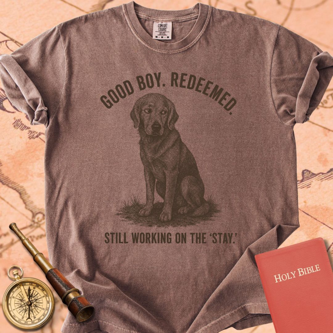 Good Boy. Redeemed. Premium T-shirt