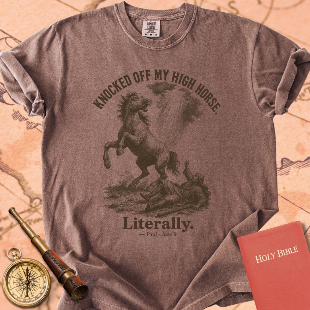 Knocked Off My High Horse (Literally) Premium T-shirt
