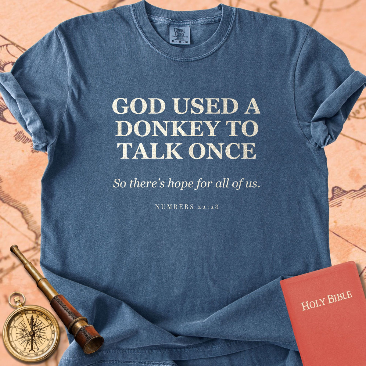 God Used a Donkey to Talk Once — So There's Hope for All of Us — Denim Comfort Colors