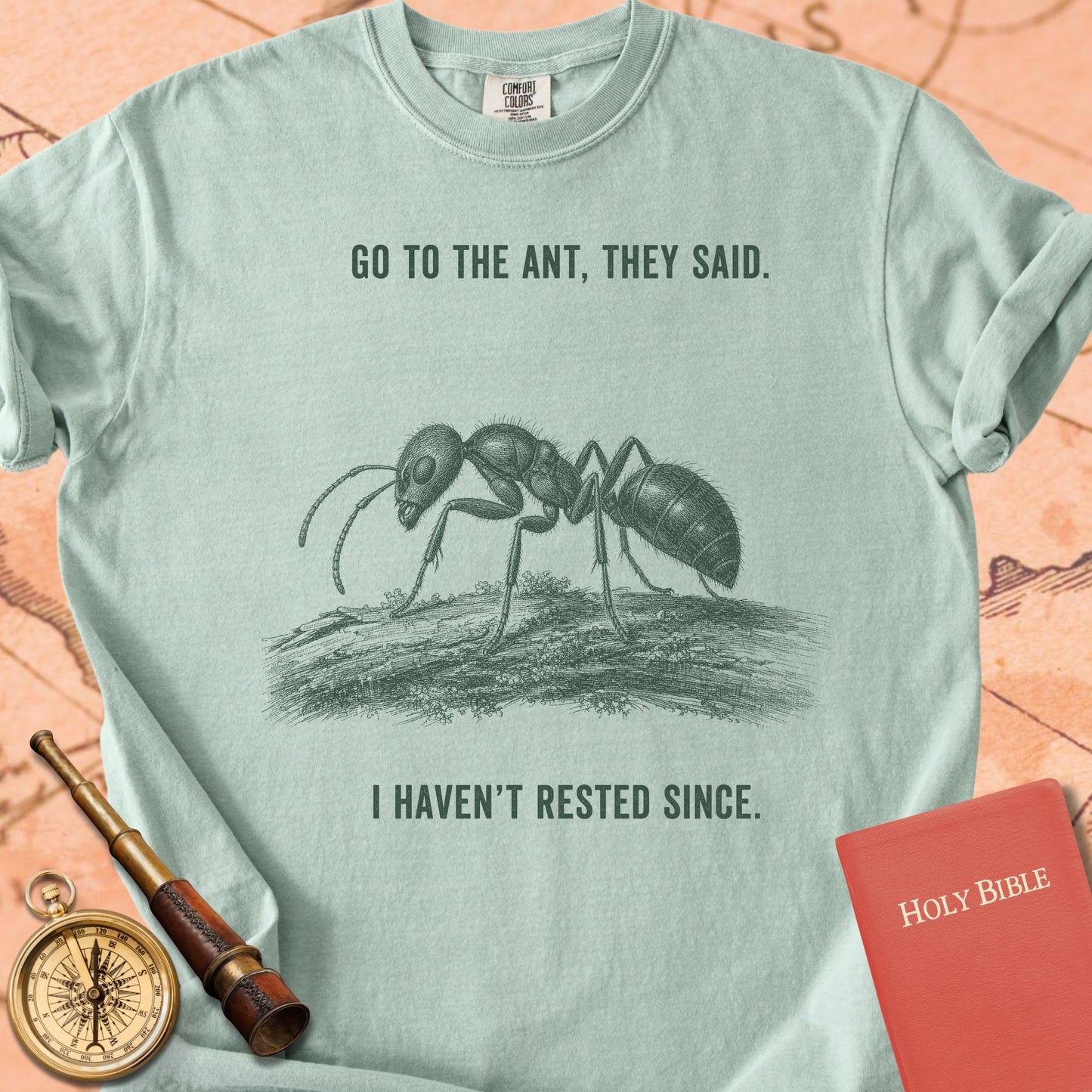Go to the Ant, They Said (I Haven't Rested Since) Premium T-shirt