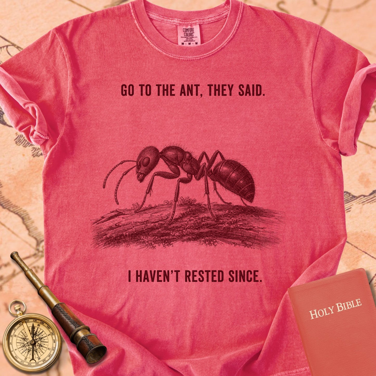 Go to the Ant, They Said (I Haven't Rested Since) Premium T-shirt