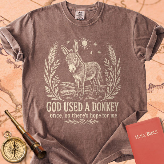 God Used a Donkey Once (So There’s Hope for Me) Premium T-shirt