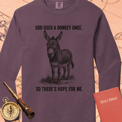 God Used a Donkey Once — Berry Comfort Colors long sleeve