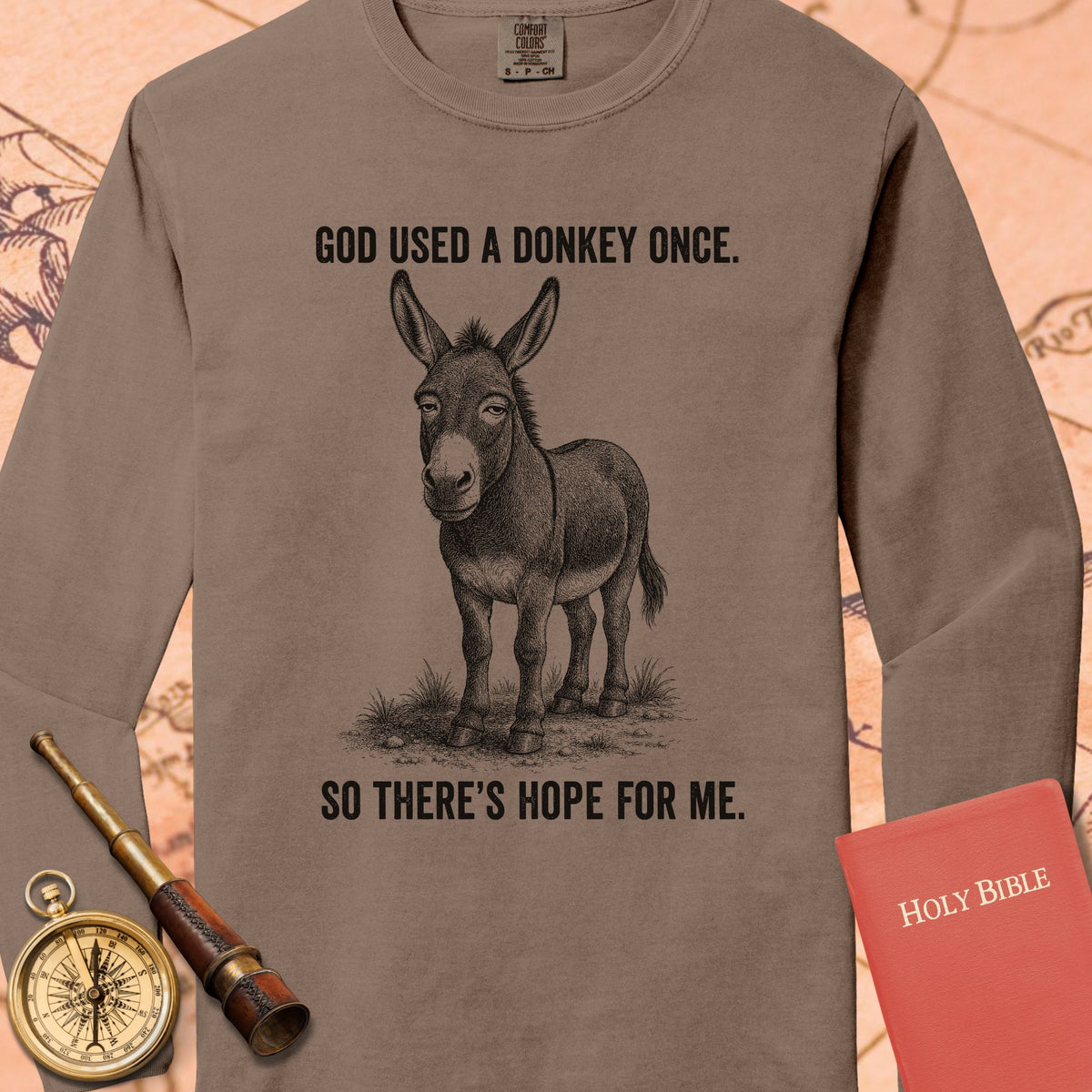 God Used a Donkey Once — Espresso Comfort Colors long sleeve