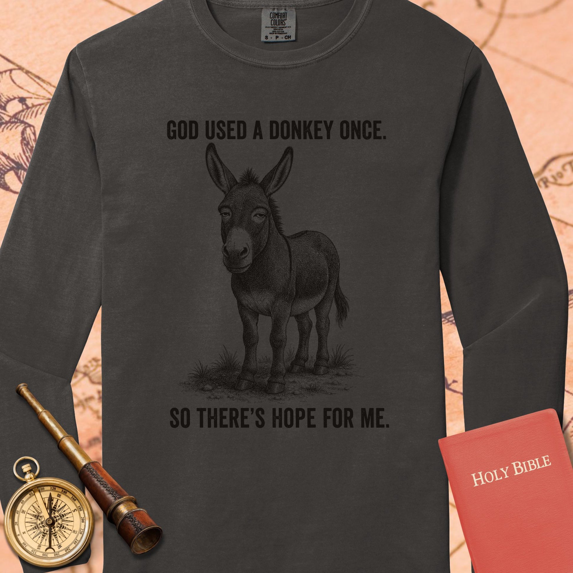 God Used a Donkey Once — Pepper Comfort Colors long sleeve