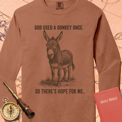 God Used a Donkey Once — Yam Comfort Colors long sleeve