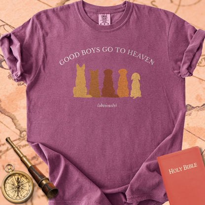 Good Boys Go to Heaven Premium T-shirt