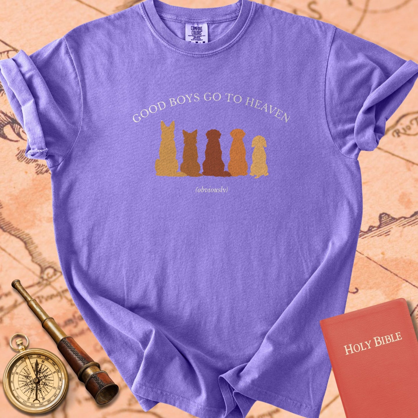 Good Boys Go to Heaven Premium T-shirt