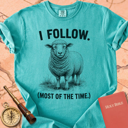 I Follow (Most of the Time) Premium T-shirt
