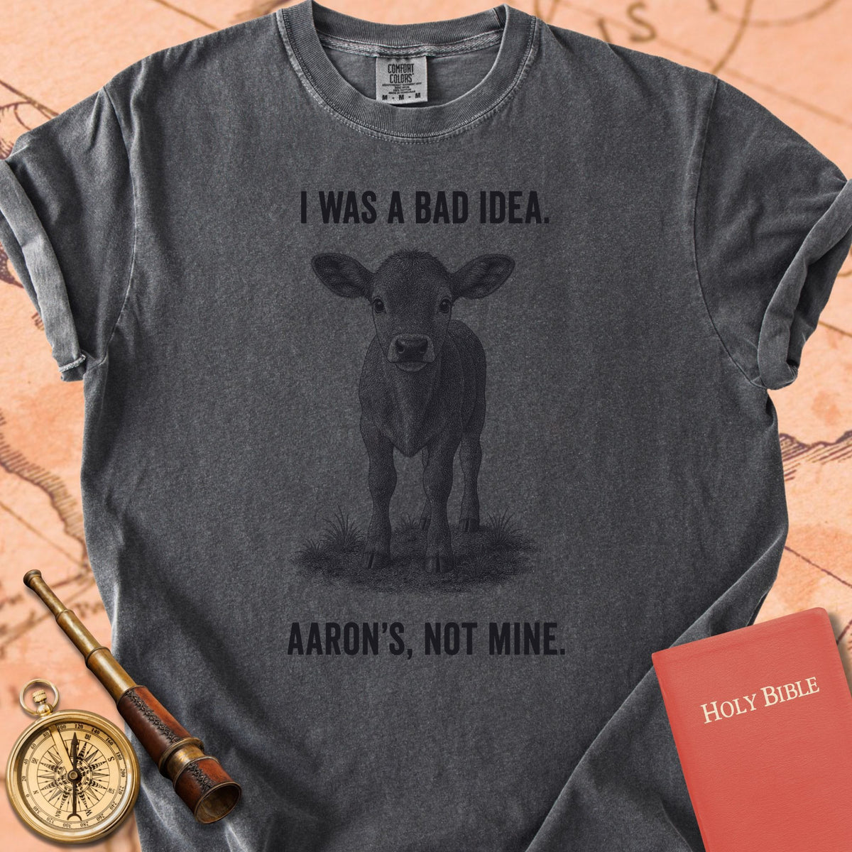 I Was a Bad Idea (Aaron's, Not Mine) Premium T-shirt