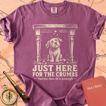 Just Here for the Crumbs (Turns Out It’s Enough) Premium T-shirt