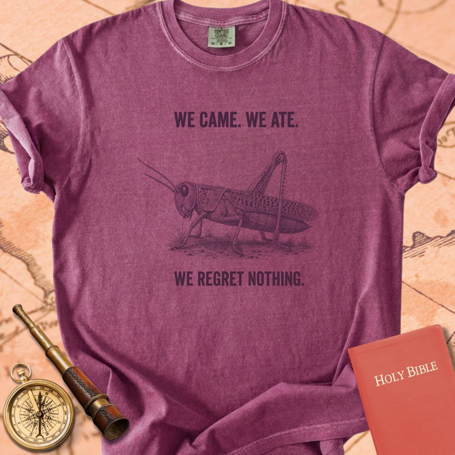 We Came We Ate We Regret Nothing Premium T-shirt